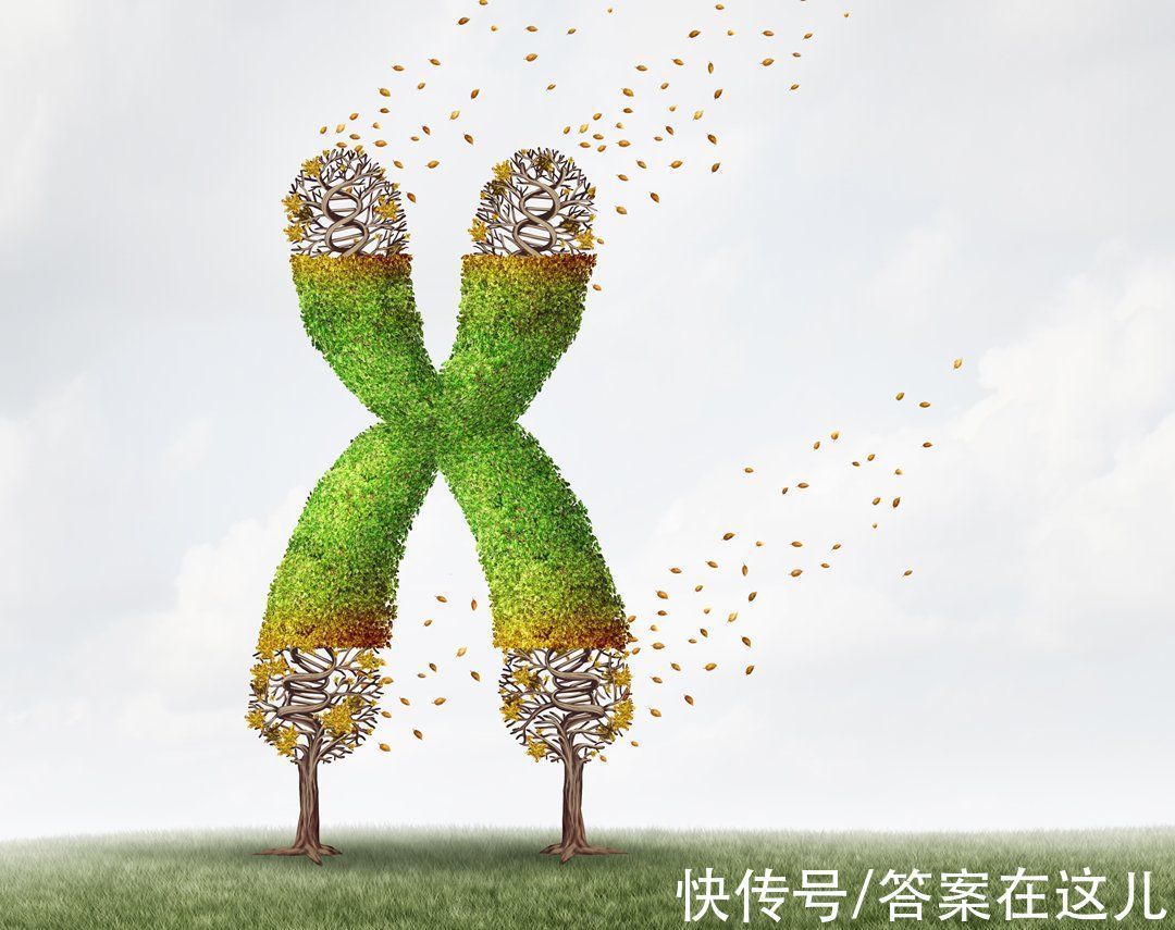 平均寿命@人类理论上能活1000岁,为何余下的900多岁,无故“消失”了?