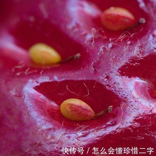 21个鲜为人知的冷知识可能让你重新认识这个世界