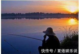 垂钓|八月钓鲤鱼用上这几招才过瘾,不管在哪钓,半天就爆护