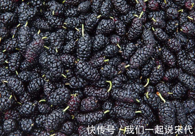 黑桑葚干|高血压终于遇上“死对头”，每天坚持吃一点，血压一降一个准！