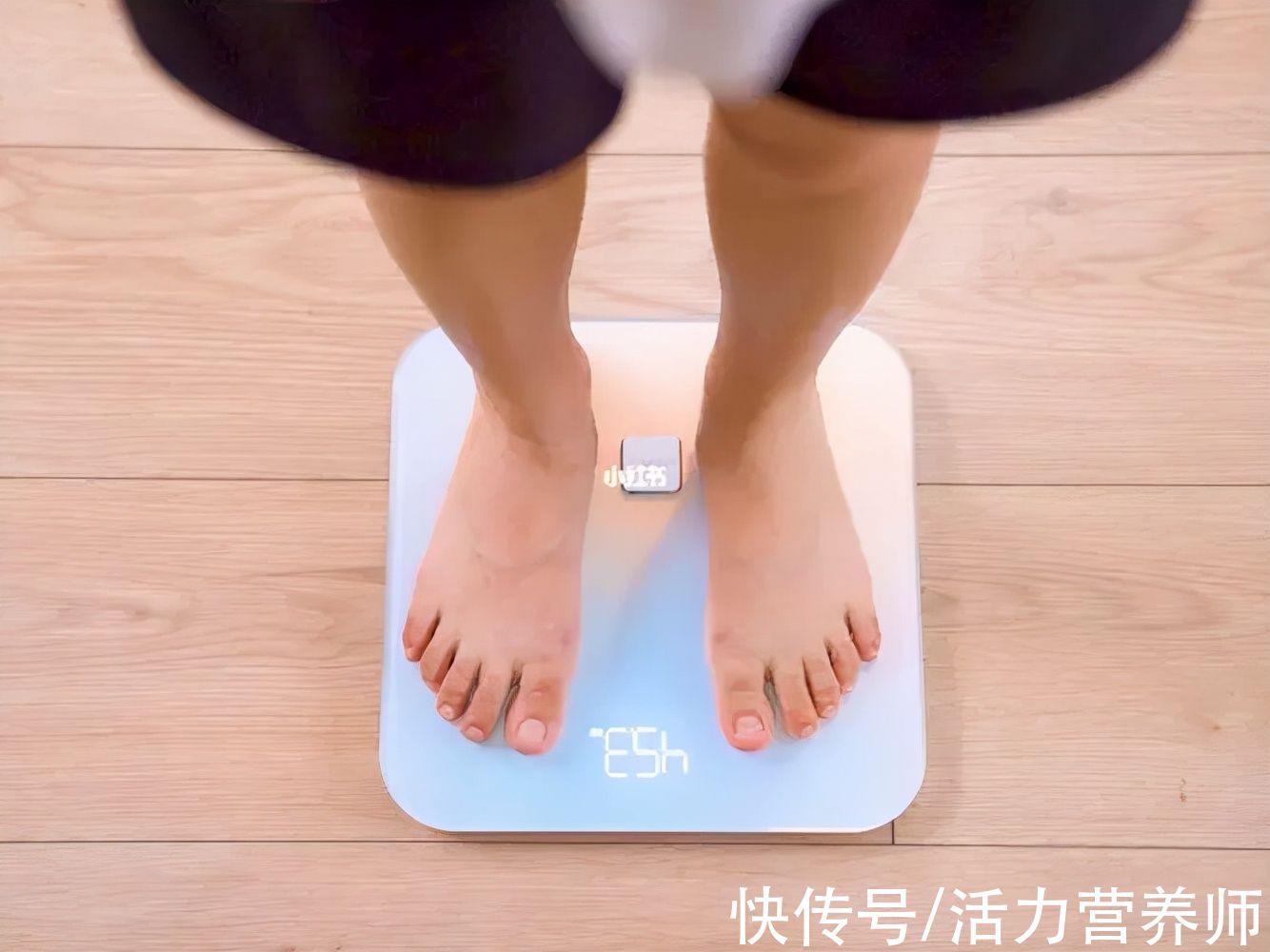 蛋白质|为什么不吃大米和白面后，体重下降快？关于减肥已经有太多误解了