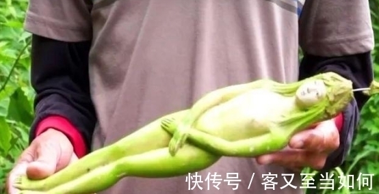 女人果|泰国女人果吃了长寿?当地人从来不吃,都卖给中国游客