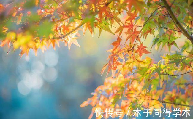 田螺|秋季养肺,只知道吃梨?吃对4种“润肺止咳”食物,健康度过秋天