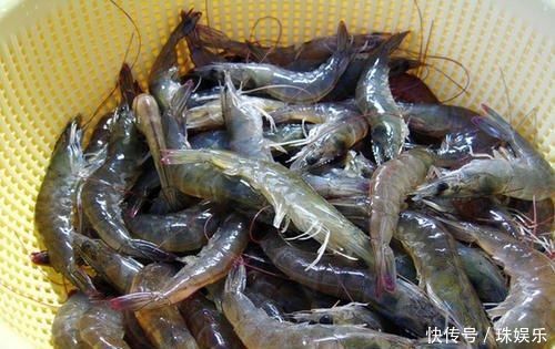 保存大虾时,直接放冰箱就错了老渔农教你一招,跟吃鲜虾一样