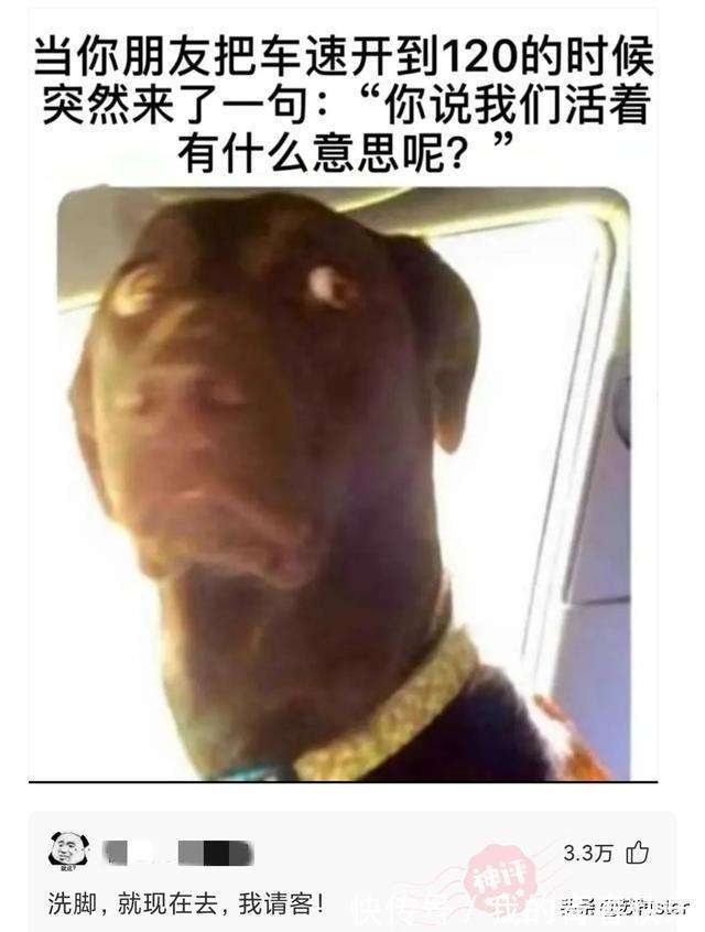 葫芦娃|神回复：为什么售楼处卖房的大多是女性？而房产中介大多是男性？