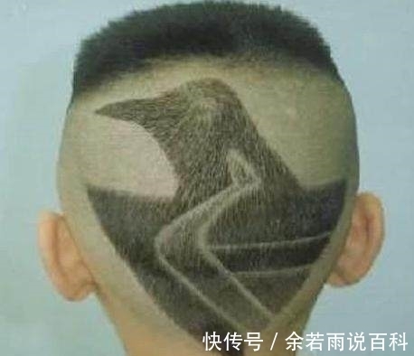 奔驰|这些发型真是太出彩了,感觉宝宝们被妈妈爸爸给坑爹了