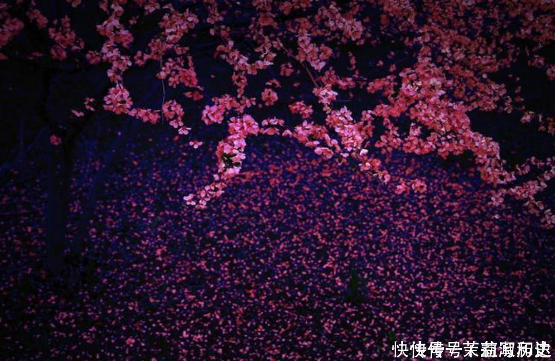 惊艳|暮春时节落花纷纷,周敦颐写下一首诗,短短的几句美得令人惊艳!