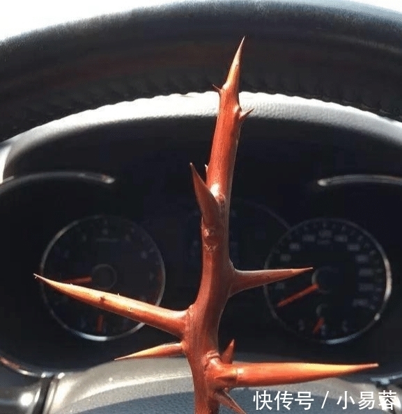 "啥叫文玩硬汉?不管多虐手,说盘就盘"