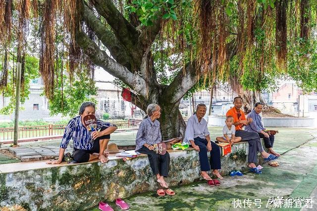 周庄|一个玄机重重的“八卦村”，竟用屋墙来做村庄围墙，小偷都会迷路