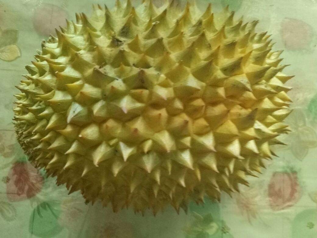 鸡毛菜|常见水果上市的季节，多吃应季蔬果，对身体有好处