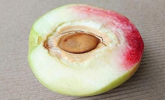 功效|桃仁不仅作为坚果好吃,其养生功效更是惊人