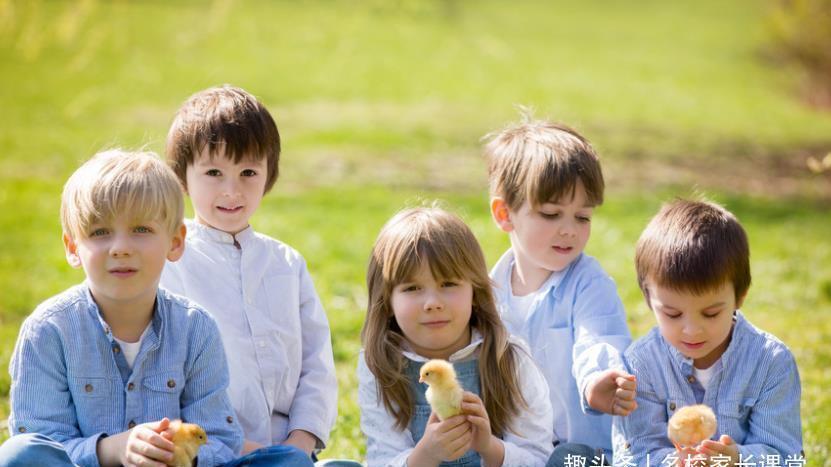 规则|想培养孩子社交能力,父母一定要做好3件事,十足关键