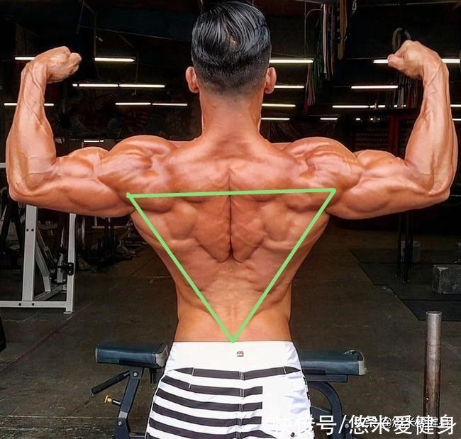 肌肉|如何锻炼背部肌肉?只需做好这9个动作,你也能练出倒三角身材