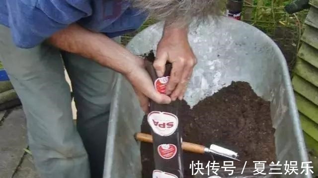 捡回7个塑料瓶,养成空中菜园,变废为宝,吃上绿色蔬菜