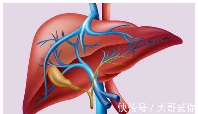 脂肪肝|“二甜伤肝,要少吃,三苦护肝,要多吃”,快看你吃对了吗?