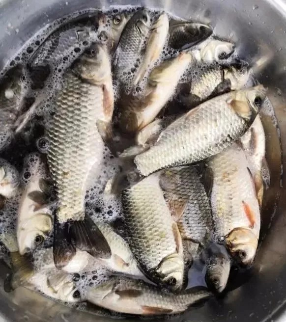 冬季野钓只会钓草边?其实这些地方比草边更“藏”鱼,老钓友都在偷偷爆护!