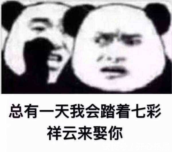 |十条段子:睡前原谅一切,醒来不谈过往