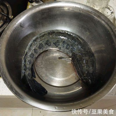 正宗酸汤黑鱼做法，最关键的是一学就会