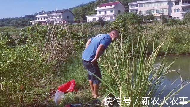 疯狂！男子钓鱼遇“空军”，直接扔掉鱼竿放大招，网友：长见识了