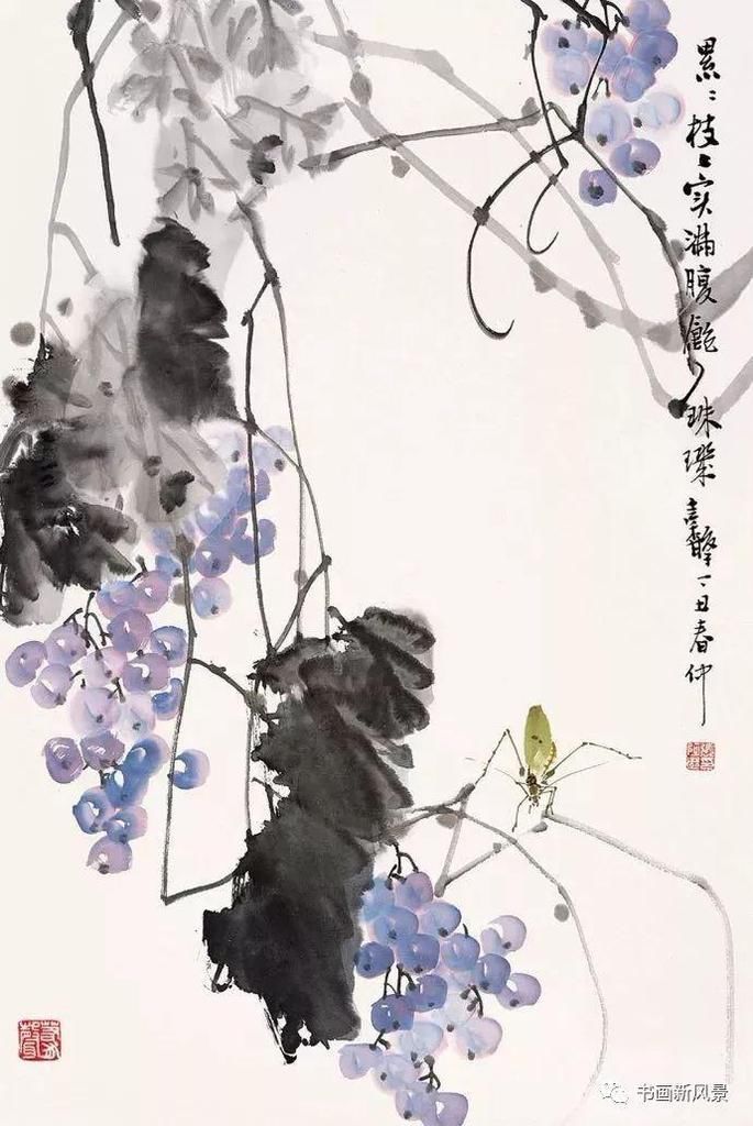  张辛稼|一鸟一虫一世界，真美！