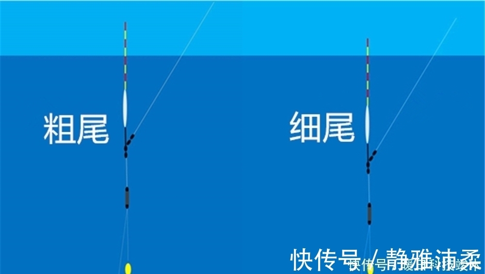 大鱼|钓鱼技巧:浮漂的漂脚和漂尾不同,钓大鱼和钓小鱼时,哪种更好用