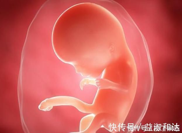 成长|胎儿每月都有在发育，这5个成长“关键期”，错过就补不回来了