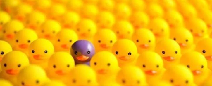 小孩|不鸡娃也能把两个孩子送进顶尖名校