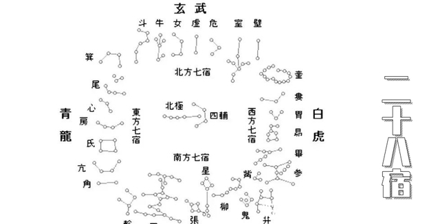 老鼠|寻物｜虎年谈虎：为啥十二生肖打头的是老鼠而不是老虎？