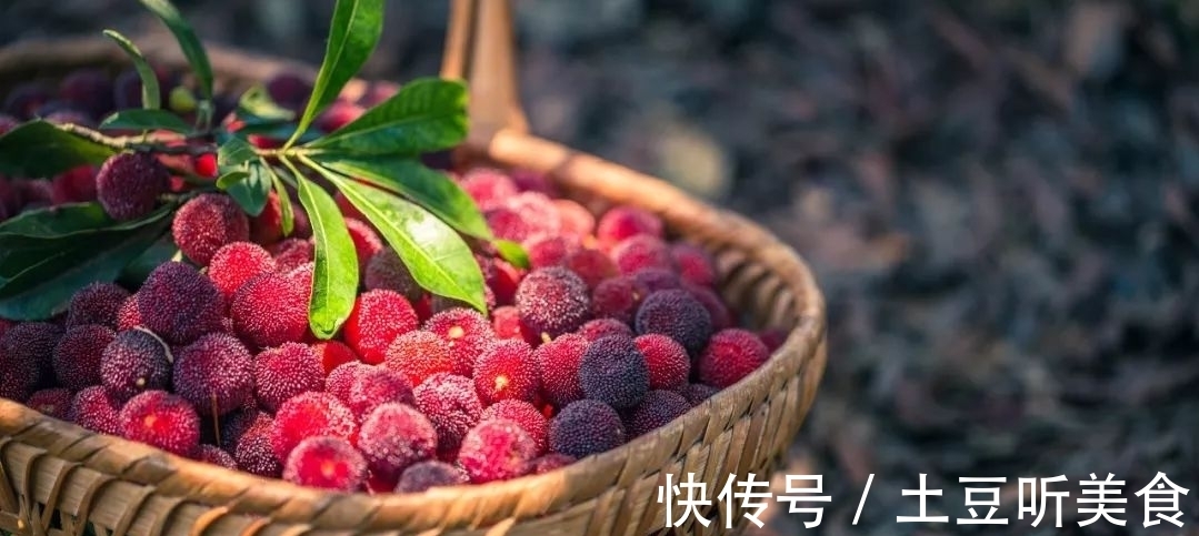 幼虫|原创丨每吃1颗杨梅，就吞下6条蛆？杨梅怎么清洗