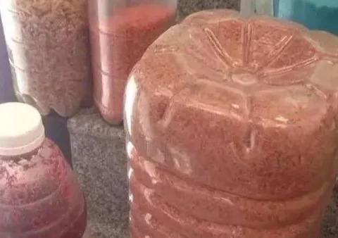 打窝别再傻傻的用酒米了，只需加这一步，渔获提升三倍不止！