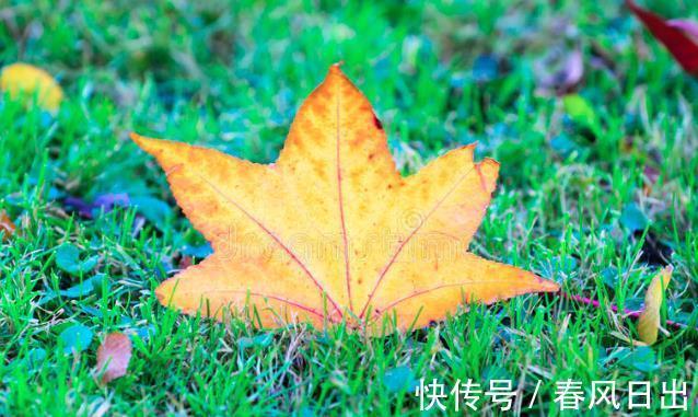 秋燥|8月7号立秋，农村老人常说“立秋有六怕”，分别指的是啥？在理吗