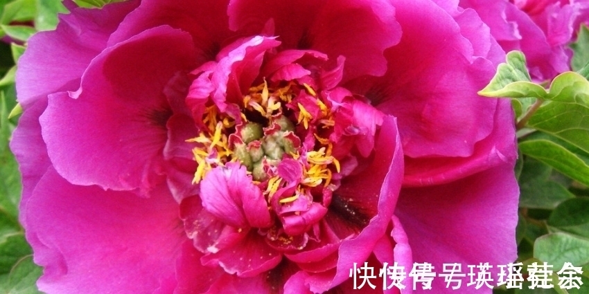 手软|最会“管老公”的三生肖女,管起老公毫不手软,却越管越有钱