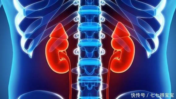 降低尿毒症风险,可延缓肾功能,以下3点做好非