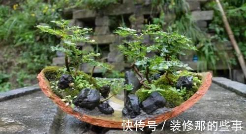 个性|破壶烂瓦做盆,每一个都破出了个性