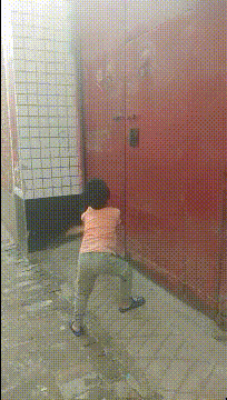 |搞笑GIF趣图：狗子，要不是我被封印住，你能是我的对手?？