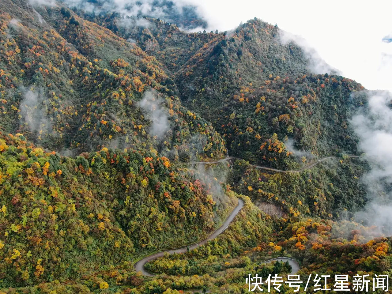 阴雨天后|赏秋景雪景两不误！80%变黄变红，西岭雪山彩林进入最佳观赏期