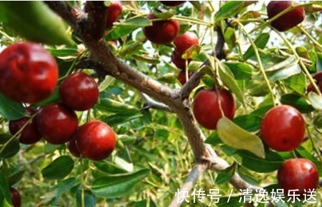 维生素c|医生提醒常吃此水果,能润肤祛斑、补血美容、抗衰老