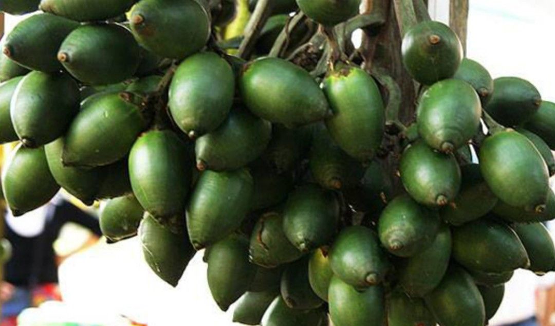 口腔癌|这种零食被列为1类致癌物！很多男士都喜欢吃