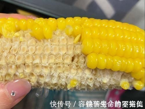 糯玉米|买玉米,挑“黄玉米”还是“白玉米”?农民伯伯:差别很大别买错