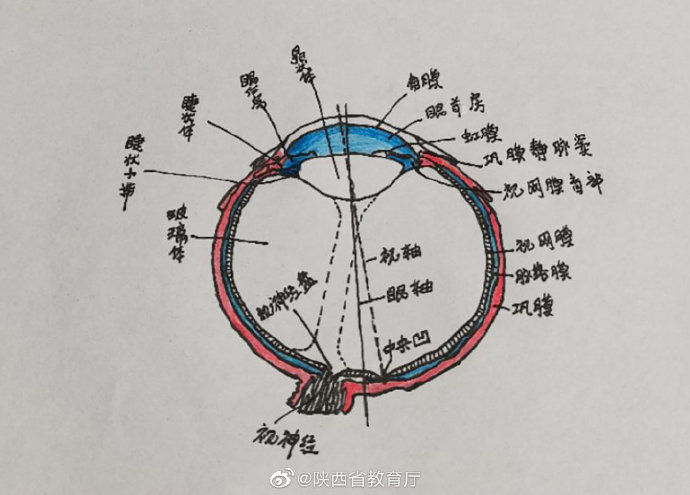  种颜色|护理学的笔记，需要多少种颜色？