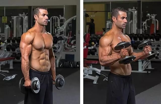 肱三头肌|我们肱二头肌围度迟迟不能突破?你可能忽略了这些!