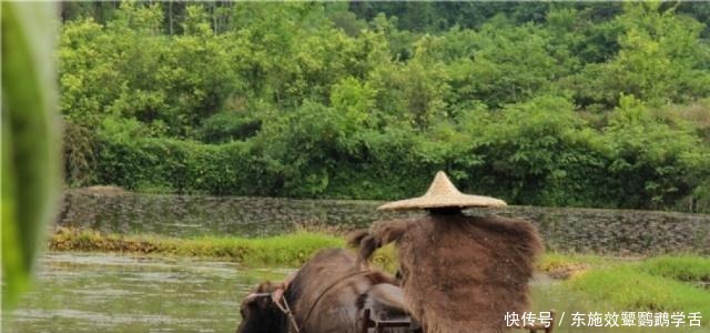  《水浒传》中最大的骗局“上两斤牛肉”，原来骗了我们这么多年！