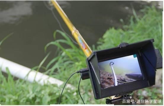 无灵魂的可视锚鱼这不是钓鱼，而是水下猎杀，被多地禁用