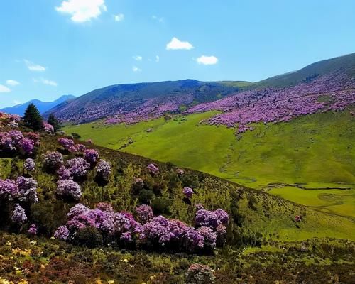 「螺髻山」山高水长花更艳