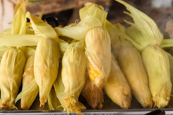 保存玉米，直接放冰箱，还是煮熟再冷冻教你一招，新鲜不变味