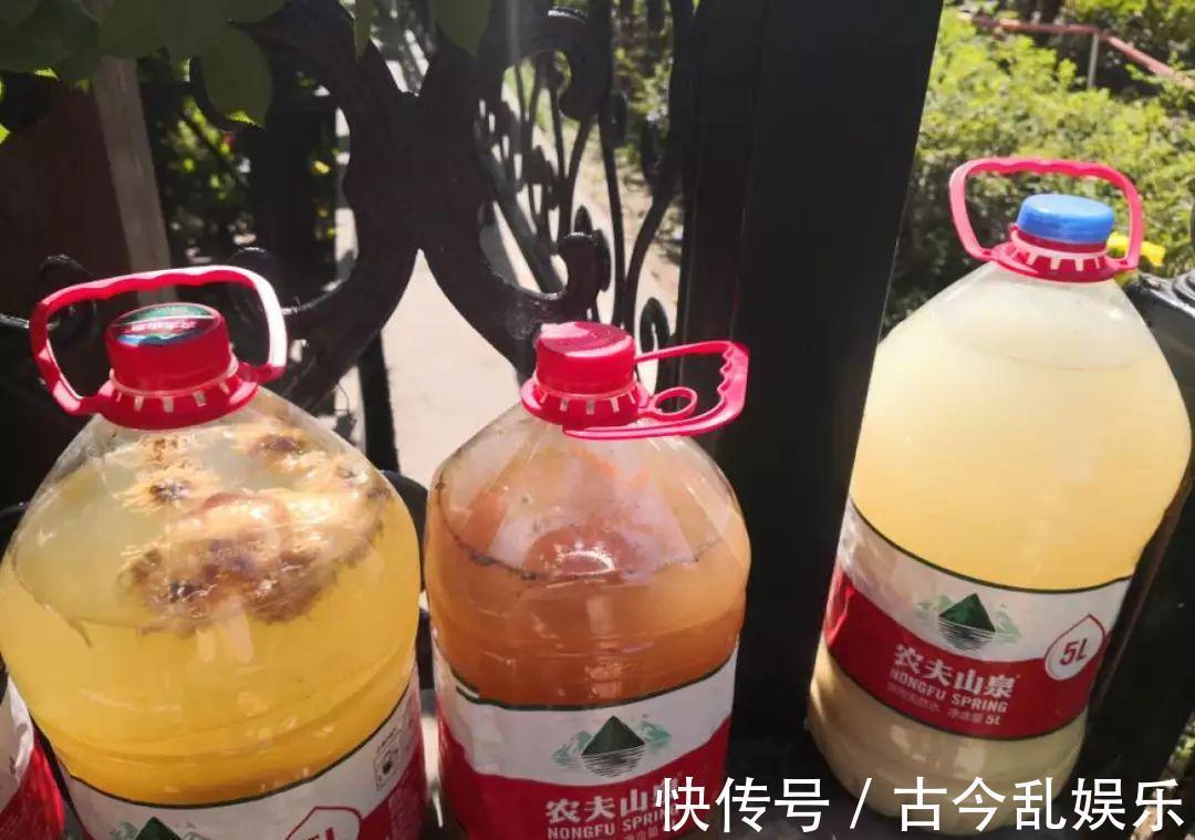 养花技巧：8种情况不能施肥，跟毒药一样，浇完花就玩完了