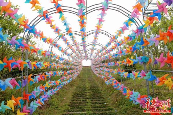 风车隧道、彩虹滑道……湖师大带你来武冈嗨翻天