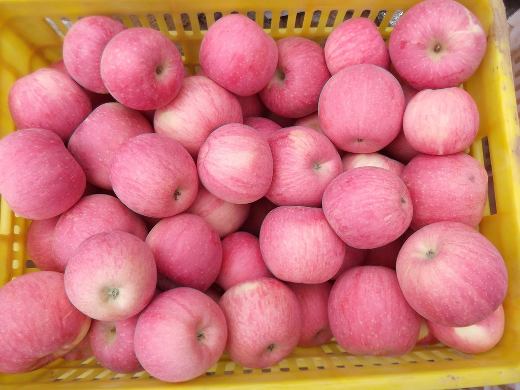 苹果|苹果和它一起煮,降低胆固醇抗氧化!吃了皮肤好,身材更苗条!