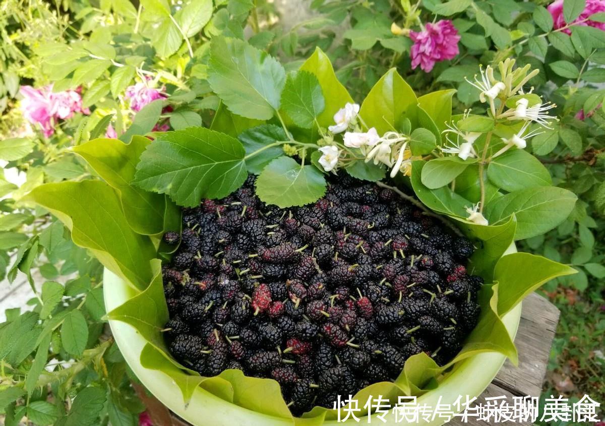 果酱|“白发多”常吃这个果,此时正当季,做成果酱每天喝一点,很管用