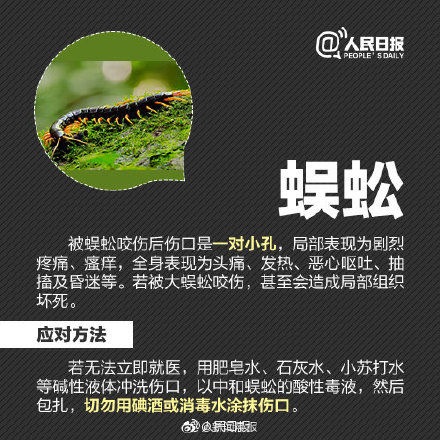 凌女士|超全防虫急救指南